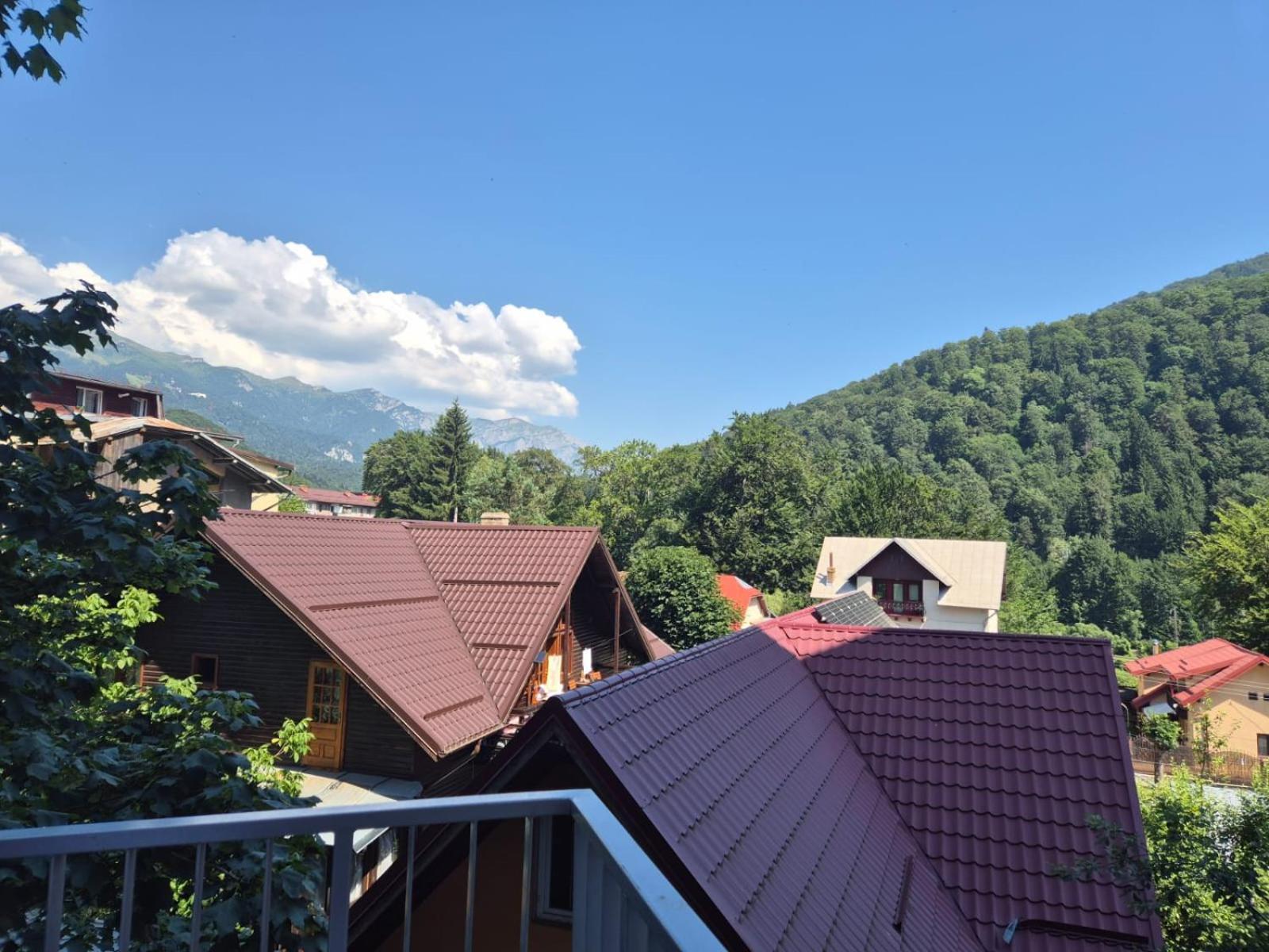 Luxroom In Greenfuture Sinaia Ngoại thất bức ảnh